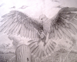 An illustration of a Harris Hawk by Taichi Suzuki.