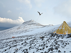 Night shot camping in Antarctica