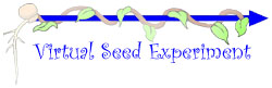 virtual seed 
experiment link
