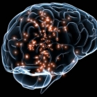Brain illustration showing activity in lit regions
