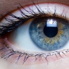 Close up of a human eye, colored blue