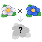 An illustration of crossing two flowers and getting an unknown offspring
