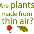 Are plants made from thin air?