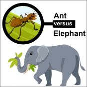 Illustration of ant viewed with a magnifying glass next to an elephant.