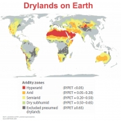 Drylands encompass more that 40% of all land surface on Earth.