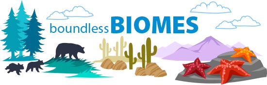 Boundless Biomes