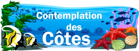 Contemplation des Côtes