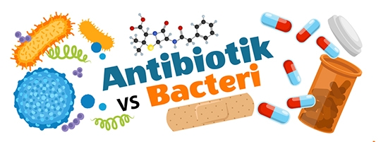 Antibiotics versus bacteria in indonesian