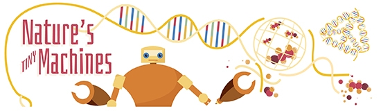 Bionanoengineering with DNA