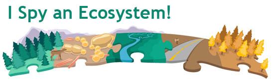 Ecosystems illustration