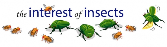 Jon Harrison insects