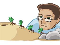Dr biology looking at some ants