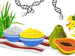 Some fruits and food