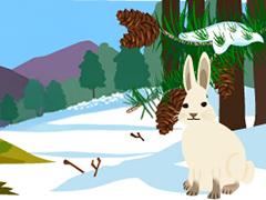 a cartoon of the taiga biome