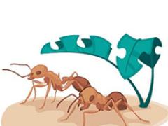 A couple ants below some leaves