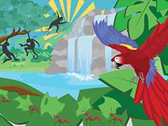 a cartoon of the rainforest biome