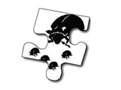 Beetles puzzle