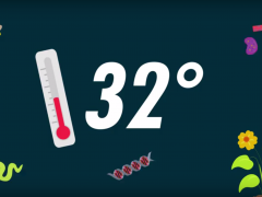 Animal hibernation, overwintering, and brumation. A thermometer illustration with small animal icons.