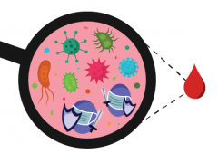 An illustration of looking into a drop of blood to see the viruses and cells inside