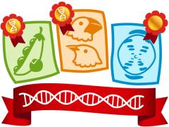 An illustration of DNA-themed award winners