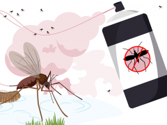 How can we fight mosquitoes? Image is an illustration of a mosquito laying eggs, with insecticide being sprayed