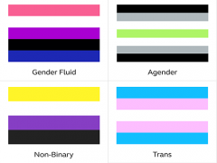 Four colorful striped flags representing the gender fluid, agender, non-binary, and trans people.