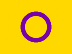 An intersex pride flag, showing a purple circle on a yellow background