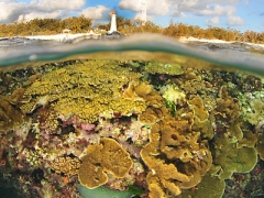 Coral reef off the coast by a lighthouse
