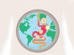 An illustration of a digestive tract merged with a globe
