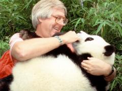 Andrew Smith holding a baby Panda image