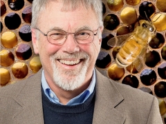 Entomologist Robert Page