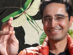 Saad Bhamla -  Curious Zoo of Extraordinary Organisms