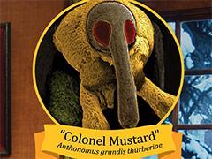 colonel mustard ugly bug