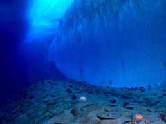 underwater at mcmurdo sound