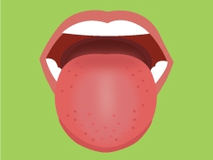 mouth illustration