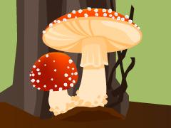 Forest Mushrooms