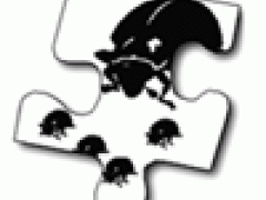 Beetles puzzle piece