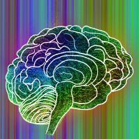 An illustration of a brain with a range of colors behind it