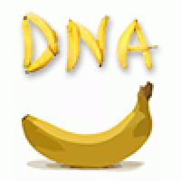 Banana DNA