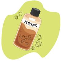 Illustration ofa bottle labeled toxins.