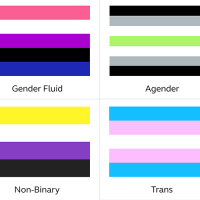 Four colorful striped flags representing the gender fluid, agender, non-binary, and trans people.