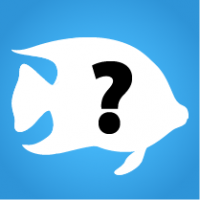 An illustration of a white fish silhouette with a question mark in the middle, for the species identifying game Keys to the Ocean
