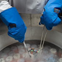 A scientist wearing thick blue gloves uses tongs to dip test tubes into a bath of liquid nitrogen. Steam rises from the cold-looking liquid.
