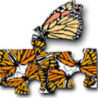 Monarch butterfly puzzle