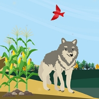 Illustration showing rewilded grey wolf