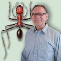 Wehner with ants