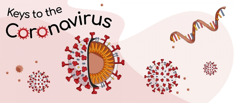 Illustration of story on COVID-19 vaccine researcher