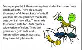 An illustration of a yellow ant, a hairy blue ant, and a green ant.