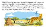 Illustration of the savanna, with a termite mound, zebras, and a cheetah.