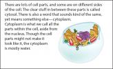 Illustration of a cell's cytoplasm. 